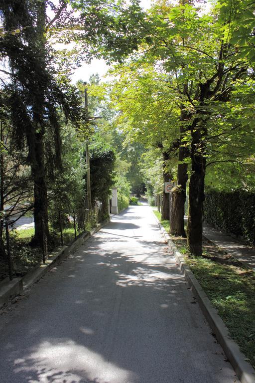 Apartment Villa Vltava เบลด ภายนอก รูปภาพ